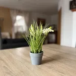 Great House For Tourists And Business *